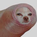 DOGSKIN