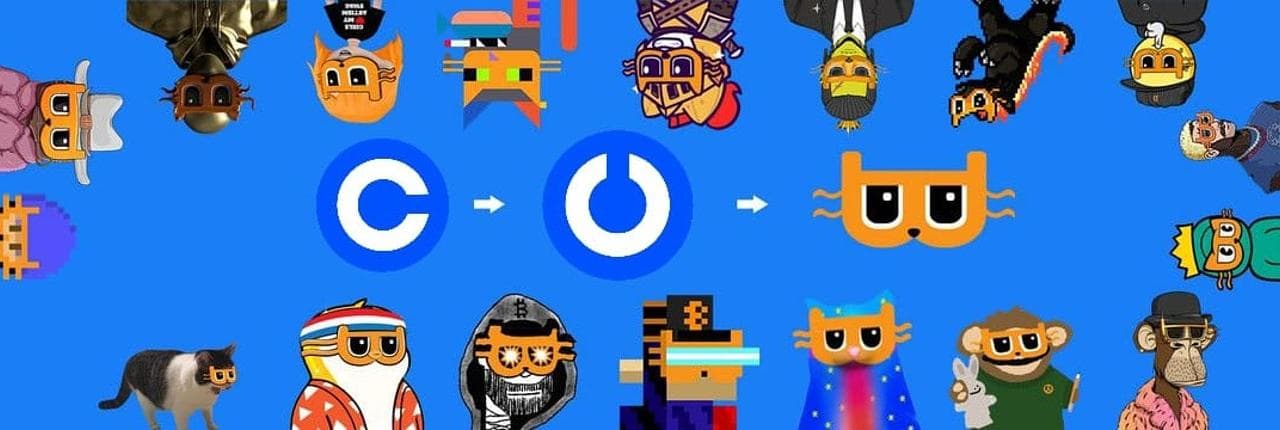 Billion Dollar Cat Banner