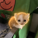 smol