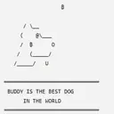 Buddy