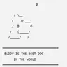Buddy