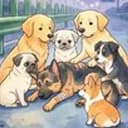 7DOGE