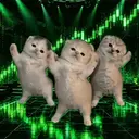 MOVE