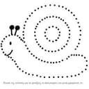 snail