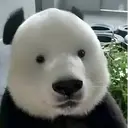 Qizai