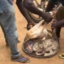 Dogrescue