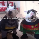 2067