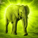 ELEPHAN