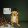 eventdog