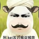 阿k苦力猴亚猴奔