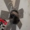 GloryHole