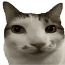 nomcat
