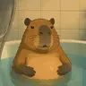 KAPIBALA