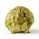 Lettuce