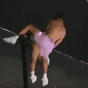 ANSEM'D