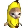 bananacat