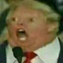 DDTR