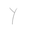 Y