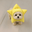 gcdog