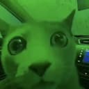 MarketCat