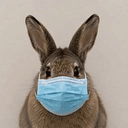Tularemia