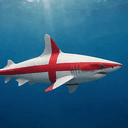 GreatWhite