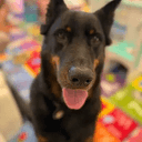 DORA