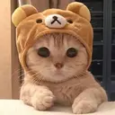 ber