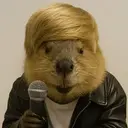BEAVER