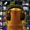 viewer