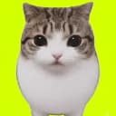 MEOW