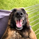 VADER