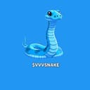 VVVSNAKE