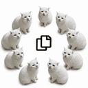 Copycat