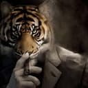 TIGERS