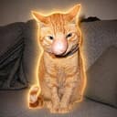 BISCUIT