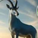 BUCK