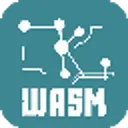 ZKWASM