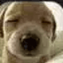 Benny