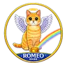 RMBR