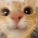 WE