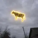 holycow