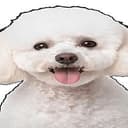 FUFU