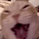 LCAT