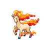 RAPIDASH