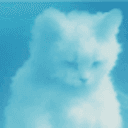 pumpcat
