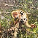 CUSCUS