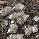 WOLFSHIT