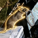 Rat