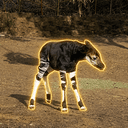 OKAPI